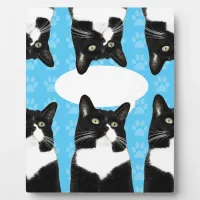 Triple Cute Kitty Make Statement Fun Photo Plaque