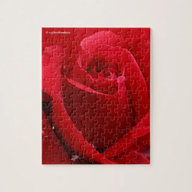 Elegant Romantic Red Rose Jigsaw Puzzle