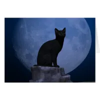 Moonlit Cat