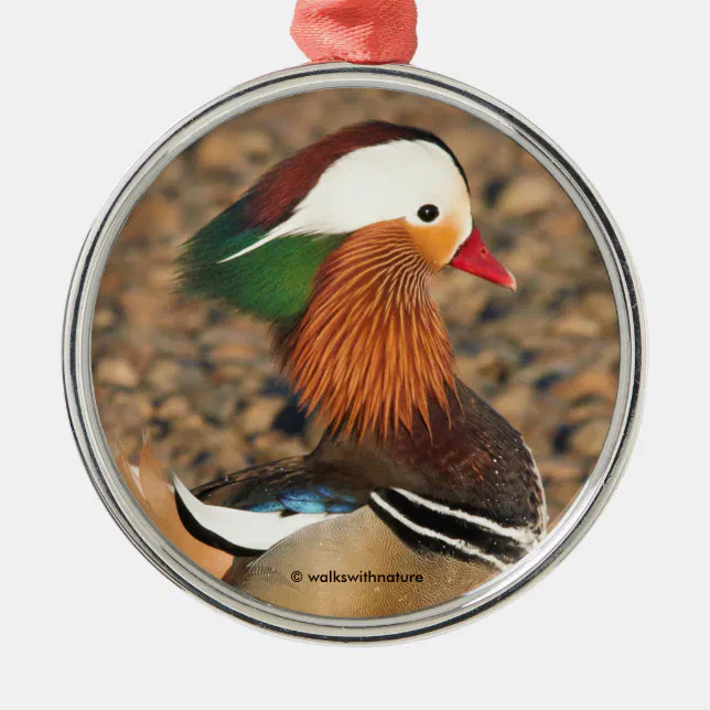 Beautiful Mandarin Duck on the Rocks Metal Ornament