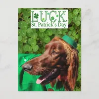 Lucky Irish Setter St. Patrick's Day Postcard