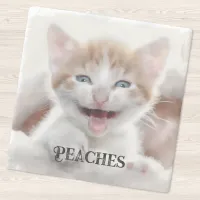 Decorative Modern Font Cute Cat Photo Stone Coaster