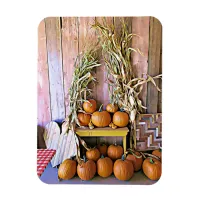 Autumn Blessings Halloween Pumpkins Magnet