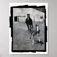 Mare and Foal Poster