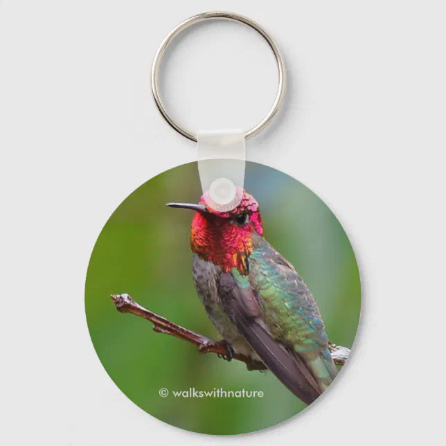 Stunning Anna's Hummingbird on Fruit Tree Keychain