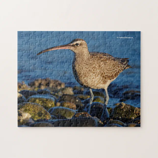 Whimbrel Shorebird at the Beach Jigsaw Puzzle