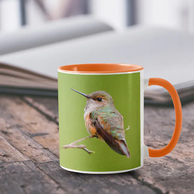 Rufous Hummingbird Sitting in the California Lilac Mug