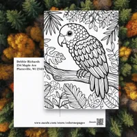 Color Me Card | Amazon Parrot