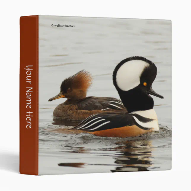 A Meeting of Hooded Mergansers 3 Ring Binder