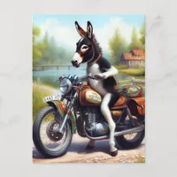 Super Cute Donkey Motorcycle Driver Postcard