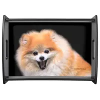 Cute Laughing Pomeranian Dog Serving Tray