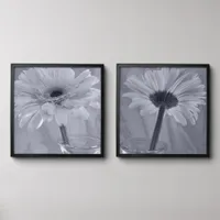 Pale Blue Tinted Gerber Daisy Flower Peel And Stick Photo Tile