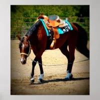 Bay Lunge Line Horse Show Warm-Up Poster