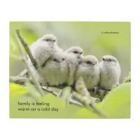 Inspirational Quote Family of Five Songbirds Metal Print