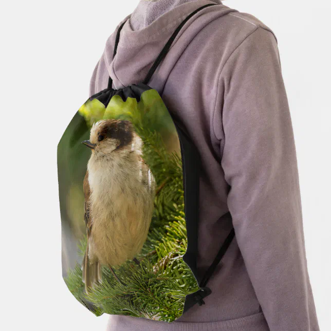 Profile of a Cute Grey Jay / Whiskeyjack Songbird Drawstring Bag