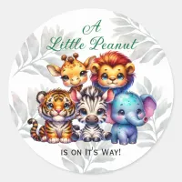 A Little Peanut is on It's Way | Baby Shower Classic Round Sticker