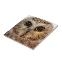 Cute Little Northern Saw Whet Owl Ceramic Tile
