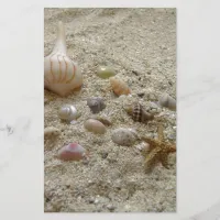 Seashells on the Beach Stationery