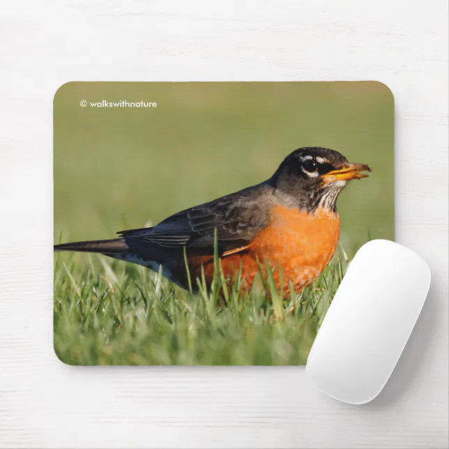 Beautiful American Robin in Winter Grass Mouse Pad