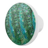 Peacock feathers, abstract - pattern in acrylic   ceramic knob