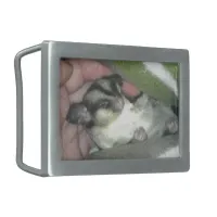 Sugar Glider Sleeping in Blanket Rectangular Belt Buckle