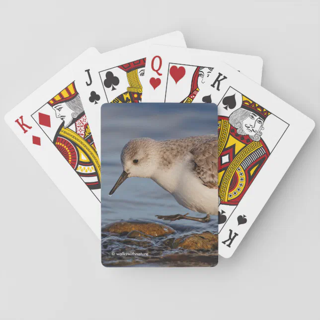 Cute Sanderling Sandpiper Walks Winter Beach Poker Cards