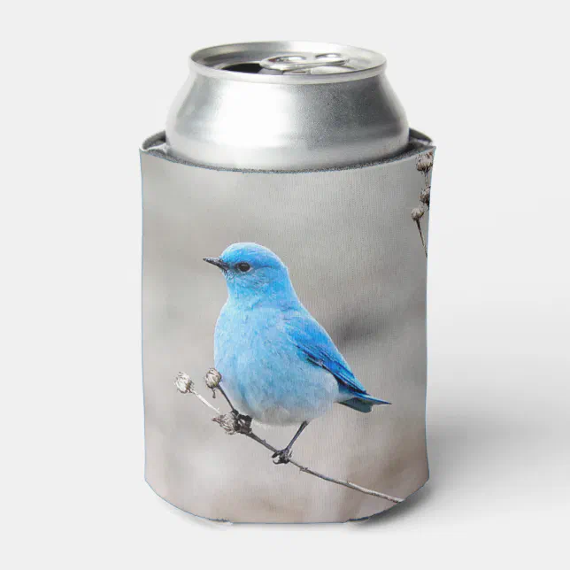 Beautiful Mountain Bluebird Can Cooler