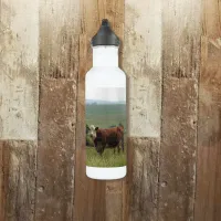 Cute Cow on the Farm with Pretty Background Stainless Steel Water Bottle