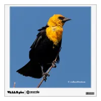 Gorgeous Yellow-Headed Blackbird on a Windy Day Wall Decal