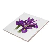 Elegant Dutch Iris Purple Sensation Ceramic Tile