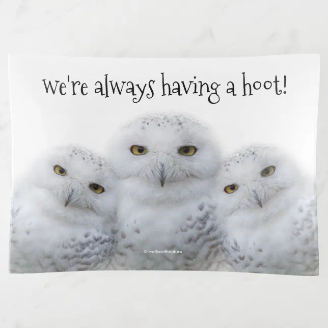 Dreamy Wisdom of Snowy Owls Trinket Tray