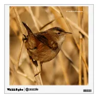 A Beautiful Marsh Wren in--Where Else?--the Marsh Wall Decal