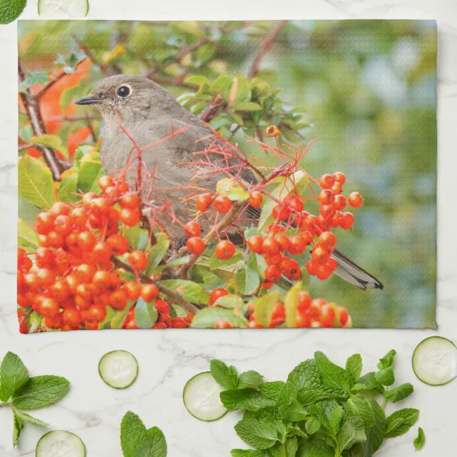 Townsend's Solitaire Songbird on the Pyracantha Kitchen Towel