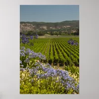 California Vineyard and Purple Flowers Poster