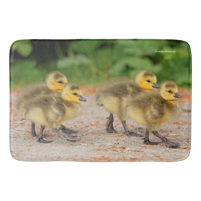 Cuteness on Parade: Canada Goose Goslings Bathroom Mat
