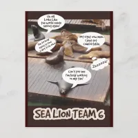 Sea Lion Team Six Postcard