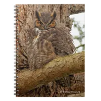 Great Horned Owl in the Douglas Fir Notebook