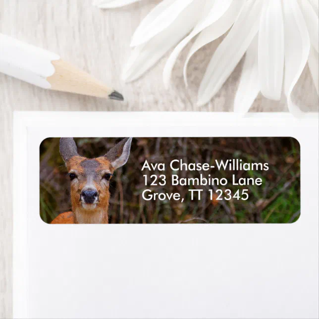 Funny Young Blacktail Deer Smiles at Photographer Label