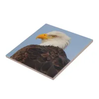 Beautiful Bald Eagle in a Tree Ceramic Tile