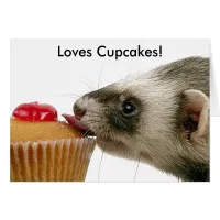 Ferrets Love Cupcakes