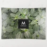 Fittonia Mosaic Plant with Variegated Leaves Trinket Tray