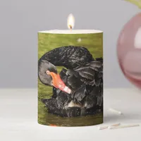 Black Swan in the Pond Pillar Candle