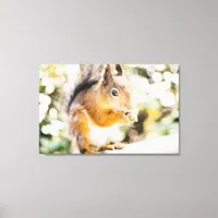 Adorable Squirrel Canvas Print