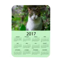 Personalize this Green Photo 2017 Mini  Calendar Magnet