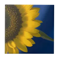 Sunflower on Blue   Ceramic Tile