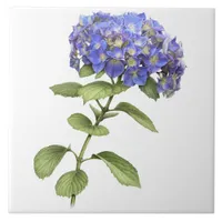 Blue Hydrangea Flower Botanical Art  Ceramic Tile