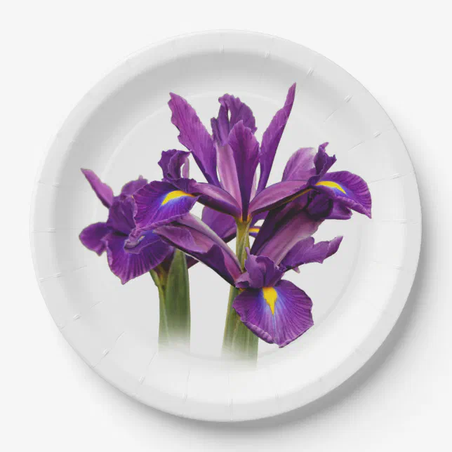 Dutch Iris Purple Sensation Paper Plates