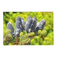 Big Blue Korean Fir Cones Placemat