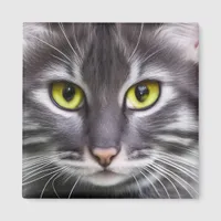 Wonderful cat portrait   magnet