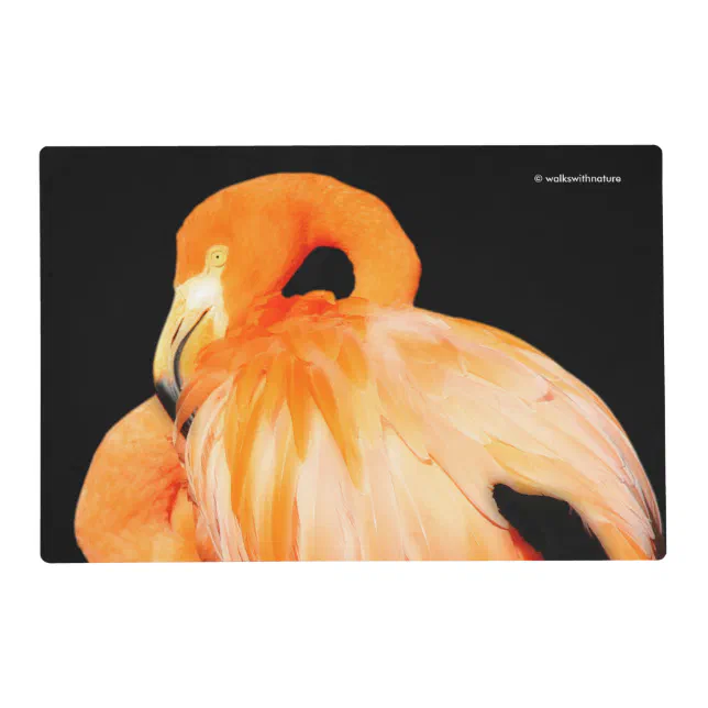 Flamingo in the Summer Sun Placemat